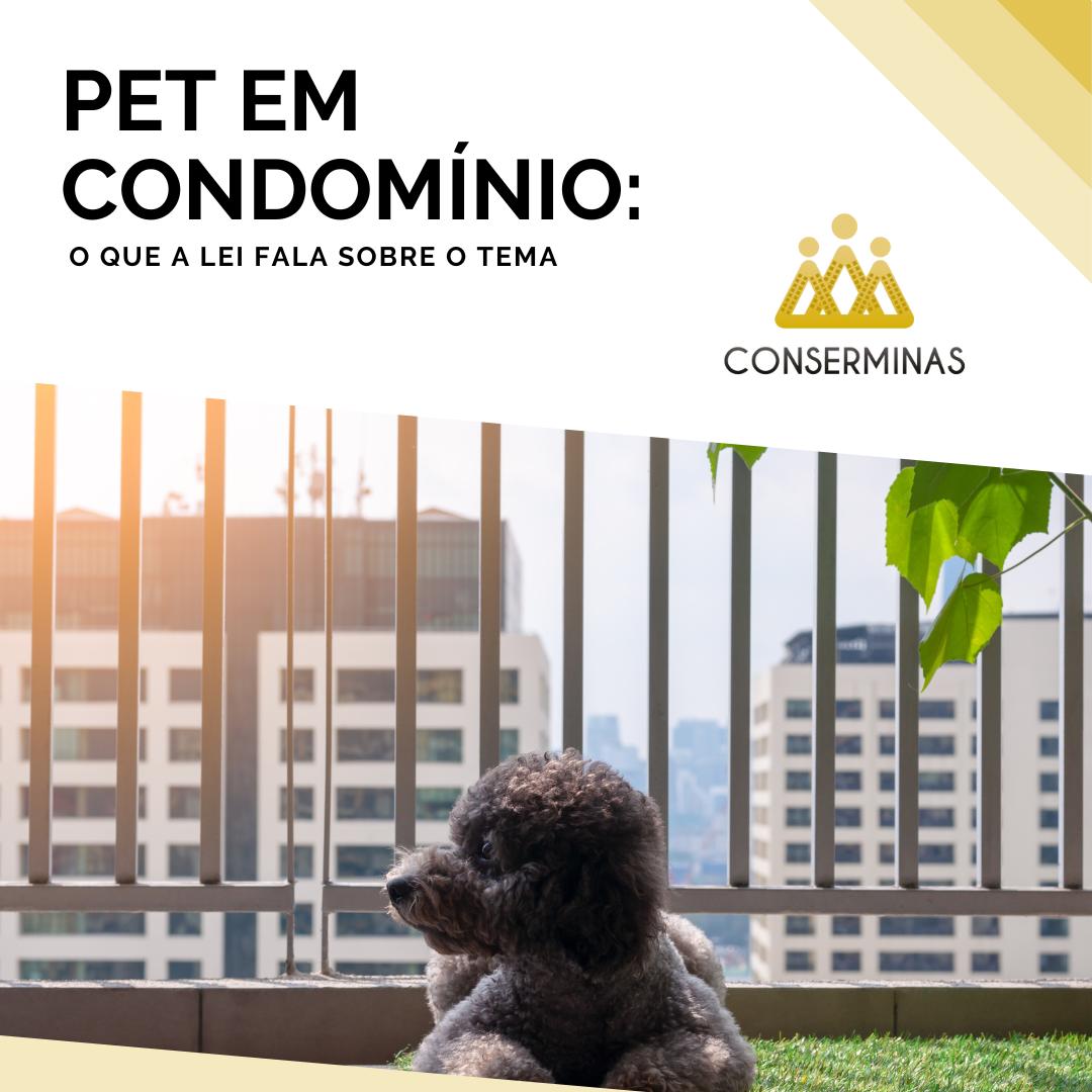 Pet em condomínio: o que a lei fala sobre o tema